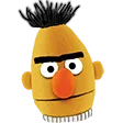 bert