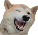 Doggo_wink