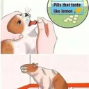 CatMmmm Discord Emoji