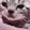 SadCat SadCat