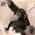 monkeyToilet