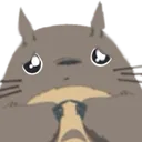 totoroshy