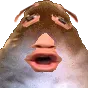 HamPog