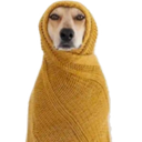 gg_DogeBabaji Discord emoji