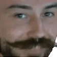 stmBrows stmBrows