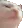 catJAM catJAM