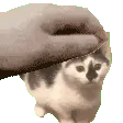 beanpat