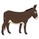 donkey