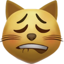 819047338030399528.png