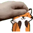 petdoggy