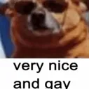 HGveryniceandgay HGveryniceandgay