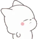 kittyangy kittyangy