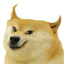 DogSiba DogSiba
