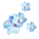timefall_blue_flower