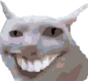 catsmile
