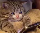 sadgaming