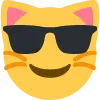 coolcat