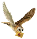 owlpost