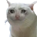 Sad Cat sad_cat Discord Emoji