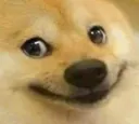 nehehehe