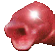 HYPERpogFish