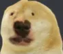 uhwot