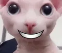 HappyBingus HappyBingus