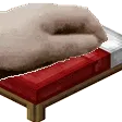 PETTHEBED