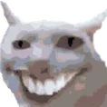 bonkcatsmile