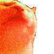 HYPERCATJAM