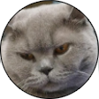 Oggy Discord emoji