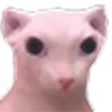 bingus