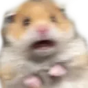 hamShook