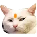 Guddu Guddu