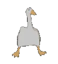 BoogieGoose