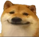 Doge_Smile
