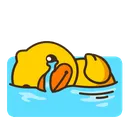 ducky_cry