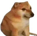 Bonk2