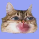 uwu