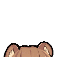 peek