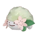 shaymin shaymin