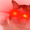 KS_supremeCat Discord emoji