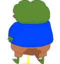 NR_Z_Op