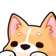 doogpeek