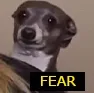 fear