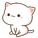 Kitty kitty Discord Emoji