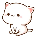 kitty