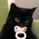 binkie_cat