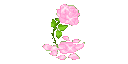 sparkling_rose_anime