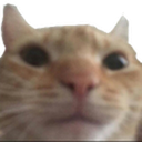 hi Discord emoji